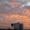 International Studies Abroad (ISA): Meknès - Language, Culture & Society Photo