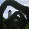 International Studies Abroad (ISA): San Jose - Medical Spanish & Healthcare in Costa Rica, Trimester Photo