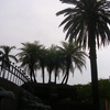International Studies Abroad (ISA): San Jose - Medical Spanish & Healthcare in Costa Rica, Trimester Photo