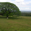 International Studies Abroad (ISA): San Jose - Spanish Language & Latin American Culture, Sumer (Veritas University) Photo
