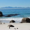 University of Missouri-St.Louis: Cape Town - Social Work, Summer Photo