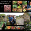 Living Routes: San Luis - Tropical Ecology, Development and Social Justice in Monteverde Photo
