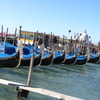 API (Academic Programs International): Venice - Lorenzo de'Medici - The Italian International Institute Photo