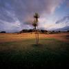 Australearn: Hamilton - University of Waikato Photo