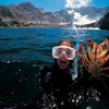 Australearn: Wellington - Victoria University of Wellington Photo