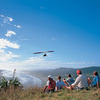 Australearn: Wellington - Victoria University of Wellington Photo