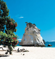 Australearn: Palmerston North - Massey University Photo