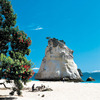 Australearn: Palmerston North - Massey University Photo