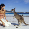 Australearn: Queensland - Tropical Marine Ecology of Australia's East Coast: From the Islands to the Great Barrier Reef Photo