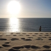 Tennessee Consortium for International Studies (TnCIS): Traveling - TnCIS in Brazil Photo