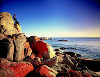 Australearn: Gold Coast - Griffith University Photo