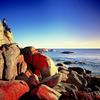 Australearn: Wollongong - University of Wollongong Photo