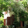American University Center of Provence (AUCP): Aix-en-Provence - Summer in Provence Photo