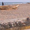 CIEE: Accra - International Buisness and Culture Photo
