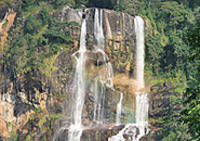 CIEE: Dar es Salaam - Arts and Sciences Photo