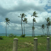 CIEE: Dar es Salaam - Arts and Sciences Photo