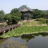 CIEE: Seoul - Arts and Sciences Photo