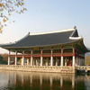 CIEE: Seoul - Arts and Sciences Photo