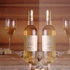 Study Abroad Europe: Florence - Wine Studies and Enology Academic Semester Program Photo