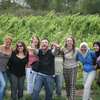 USAC: Multiple - Massey University Undergraduate Courses Photo