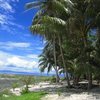 Asia Exchange: Bali International Program on Asian Studies Photo