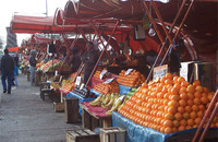 CIEE: Valparaiso - Language in Context Photo