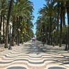 Academic Language Institute: Alicante - Spanish for the Medical Profession Photo