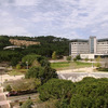 Technion, Israel Institute of Technology: Haifa - Studies in Engineering Photo