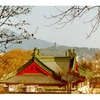 CIEE: Nanjing - Intensive Chinese Language and Culture Photo
