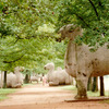 CIEE: Nanjing - Intensive Chinese Language and Culture Photo