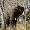 Interstudy: Gaborone - University of Botswana Photo