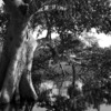 Interstudy: Gaborone - University of Botswana Photo