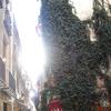 IES Abroad: Barcelona - IES Abroad Barcelona Center Photo