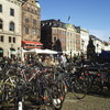 DIS - Danish Institute for Study Abroad: Copenhagen - Various Programs Photo