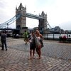 AIFS: London - Richmond International Internship Program Photo
