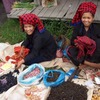 Marist College: Traveling - Asia Summer Abroad Program (ASAP) Photo